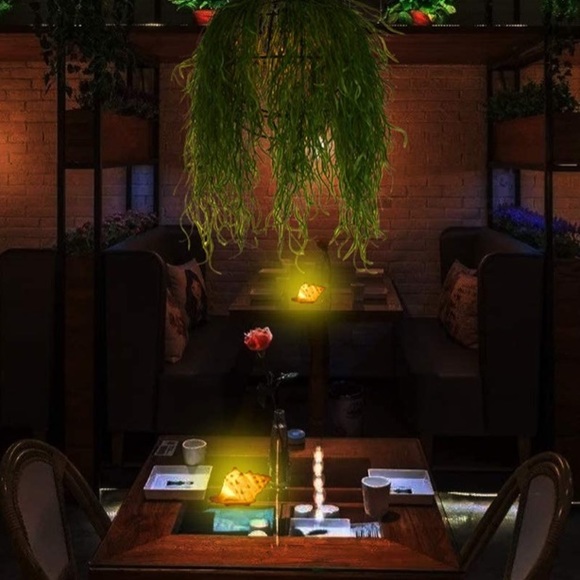 Coral shell night lIght. - Picture 5 of 7